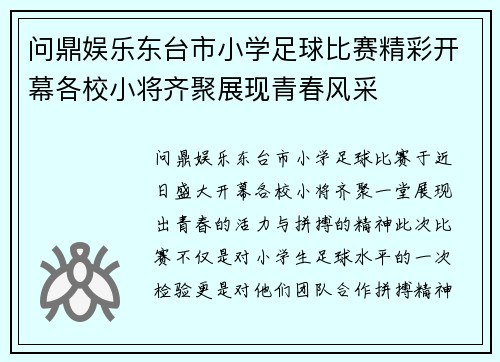 问鼎娱乐东台市小学足球比赛精彩开幕各校小将齐聚展现青春风采